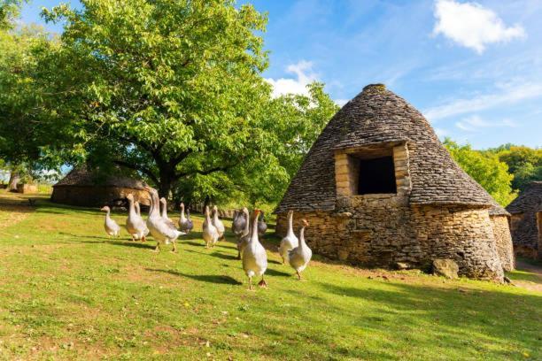 La Venelle Διαμέρισμα Sarlat-la-Caneda Εξωτερικό φωτογραφία
